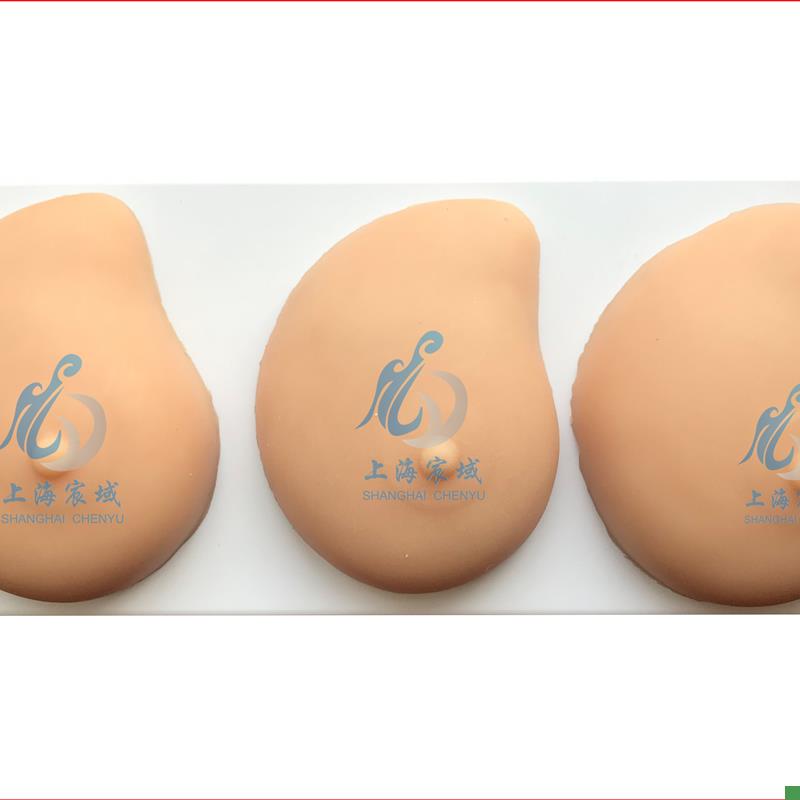 病理乳房模型乳房r自检模型病理硅胶医用教学模型