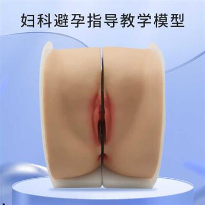 .女性生殖器模型宫颈子宫外阴道卵巢妇科检查避孕教学1比1软硅胶