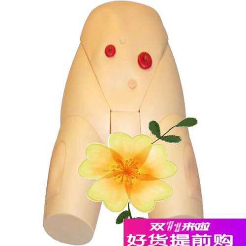 高级男性导尿模p型JY/H17E佳悦科教通