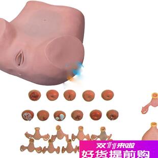妇科检查训练模型临床计划生育教学Q训练练习上环模具