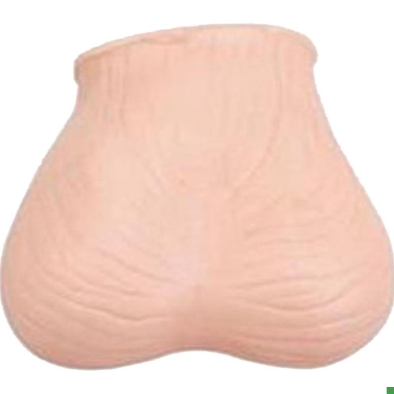 睾丸检查c模型佳悦科教通L59