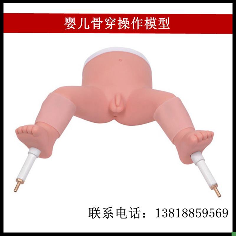 婴儿骨穿操作模型