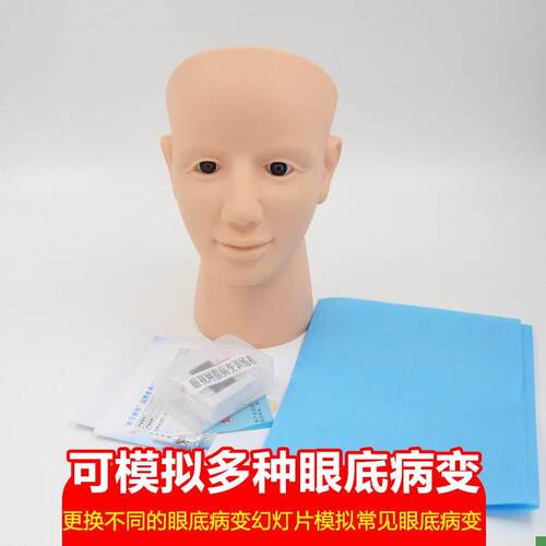 眼视网膜病变检i查模型眼底检查病变诊断技巧教具视网膜模型