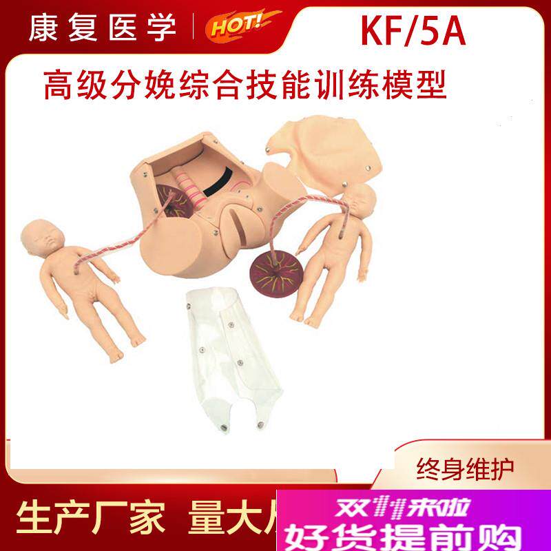 高级分娩综合技能训练模型助产模型胎H儿模型分娩综合技能训练模