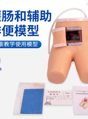 高级灌肠辅助排便训练模型灌肠练习模F具老年排便病人MS/H35