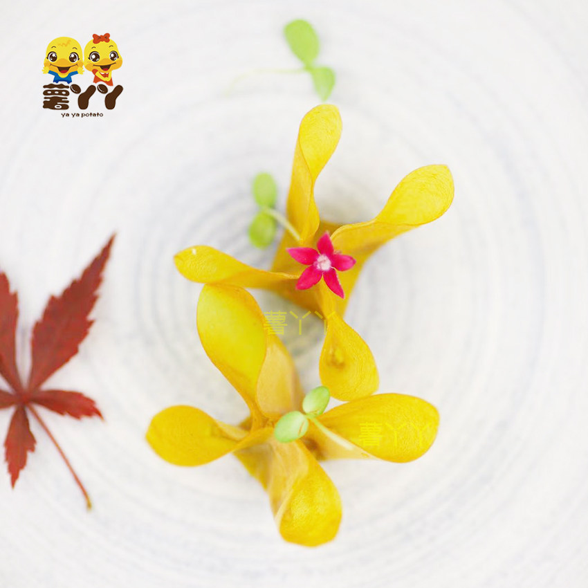 工厂直发薯丫丫烈焰红唇超薄山楂芒果皮片法式樱桃山楂鹅肝酱即食