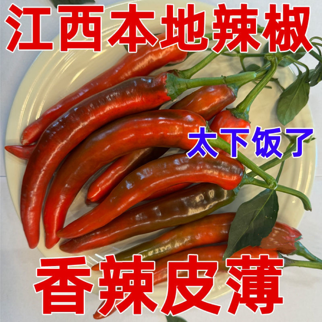新鲜现摘红辣椒江西本地新鲜红辣椒农家自种土辣椒辣椒酱剁椒