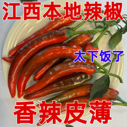 新鲜现摘红辣椒江西本地新鲜红辣椒农家自种土辣椒辣椒酱剁椒
