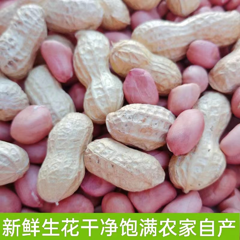 湖南新鲜干生熟花生米带壳精挑细选颗粒饱满 壳米可选干净 农家自