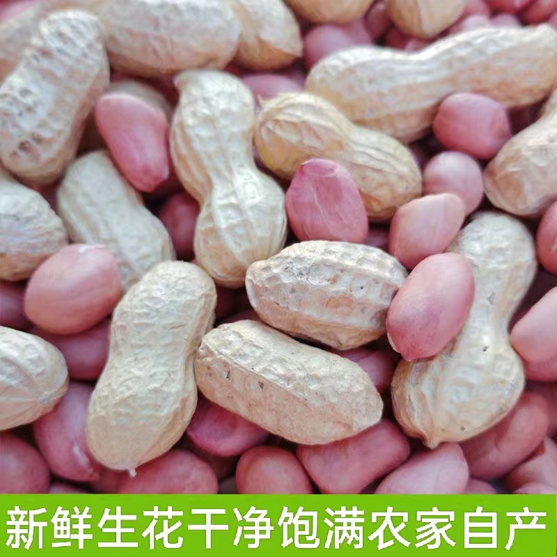 湖南新鲜生熟花生米带壳精挑细选颗粒饱满壳米可选干净农家自