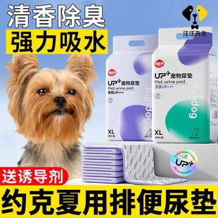约克夏专用狗狗尿垫诱导引导上厕所宠物吸尿纸小狗一次性隔尿垫