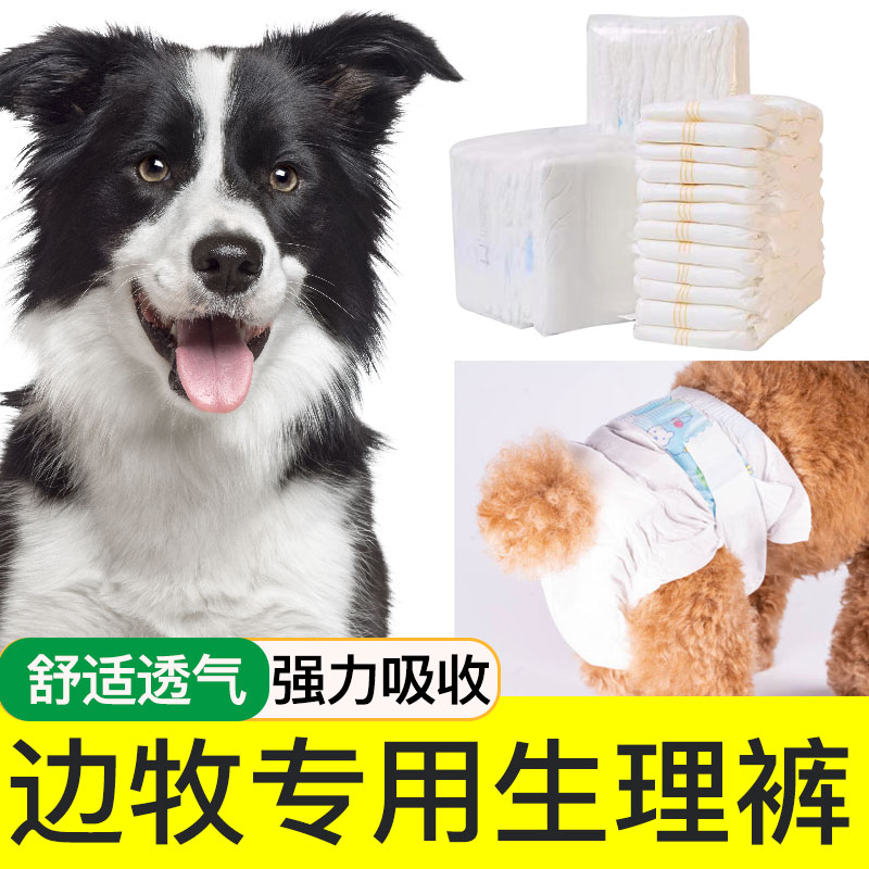 边境牧羊犬宠物生理纸尿裤尿不湿月经母狗狗姨妈巾公狗专用卫生女