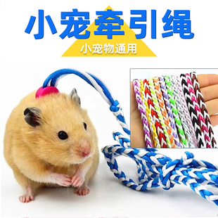 小宠专用绳子牵引绳松鼠刺猬荷兰猪溜鼠兔子金丝熊豚鼠项圈外出绳