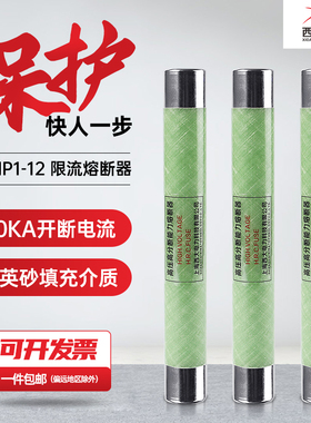 高压限流熔断器XRNP1-10/12/0.5 1 2 3.15 5A银丝电压互感器专用