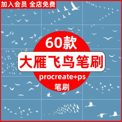 ps笔刷procreate笔刷大雁南飞迁徙迁移人字形飞鸟剪影鸿雁候鸟群