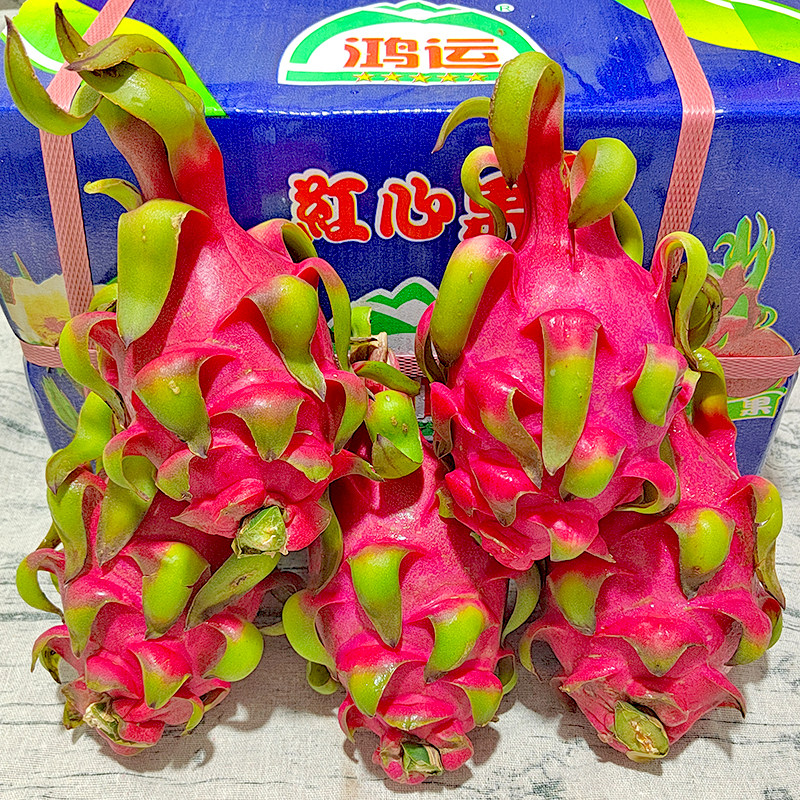 顺丰包邮越南红心火龙果