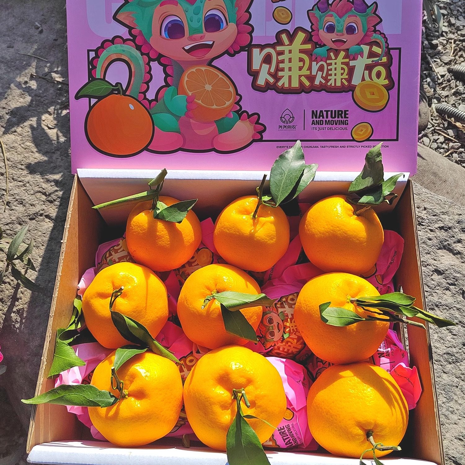 [顺丰包邮]耙耙柑橘子春见耙耙柑中大果桔子送礼精品新鲜水果,水产肉类/新鲜蔬果/熟食,桔子,淘宝优惠券,粉丝福利购,淘宝优惠卷