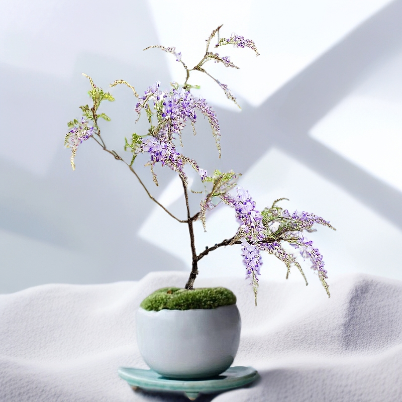 紫藤树苗白藤四季开水晶紫藤