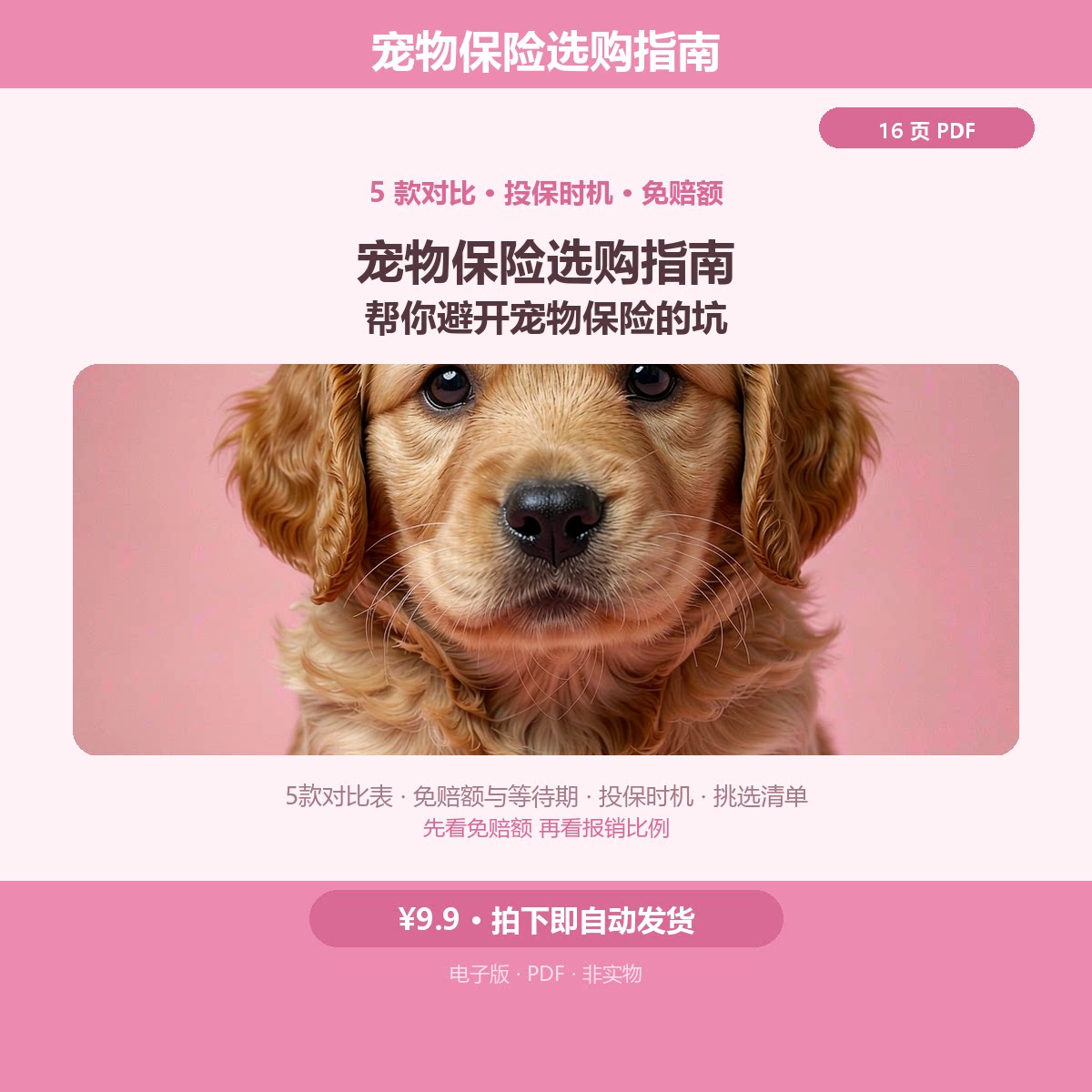 PDF宠物保险设计素材电子版避坑指南保险选购指南免赔额资料大
