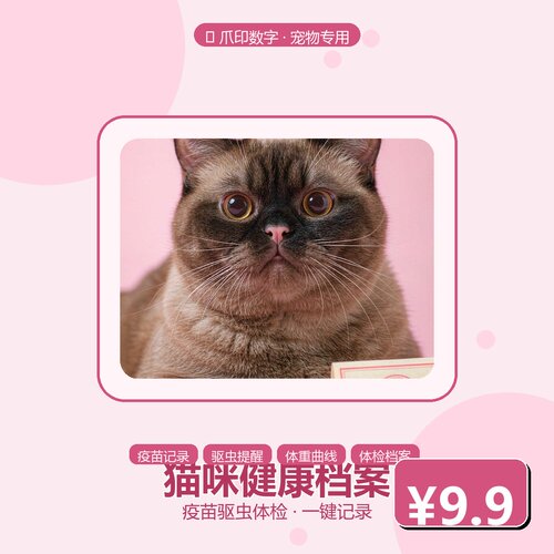 猫咪疫苗驱虫记录表Excel可编辑