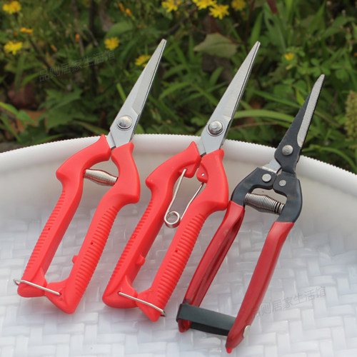 花椒剪不锈钢剪刀头锋利轻巧