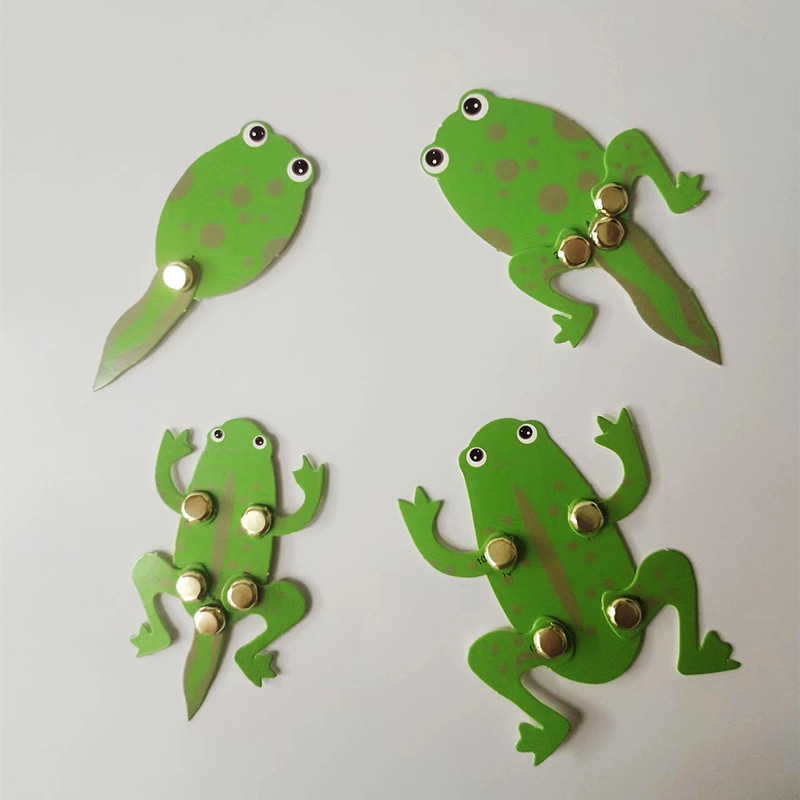 幼儿早教手工材料包自制教具科学实验科技小制作发明小蝌蚪长大了