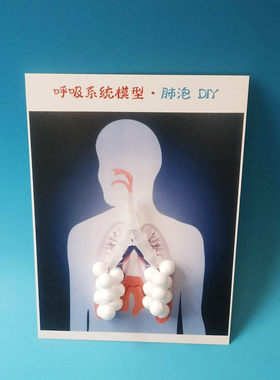 初中生物模型人体肺泡手工作业DIY科学实验科技制作创意发明教具