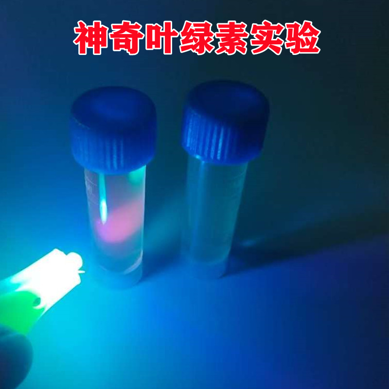 神奇叶绿素荧光反应实验套装