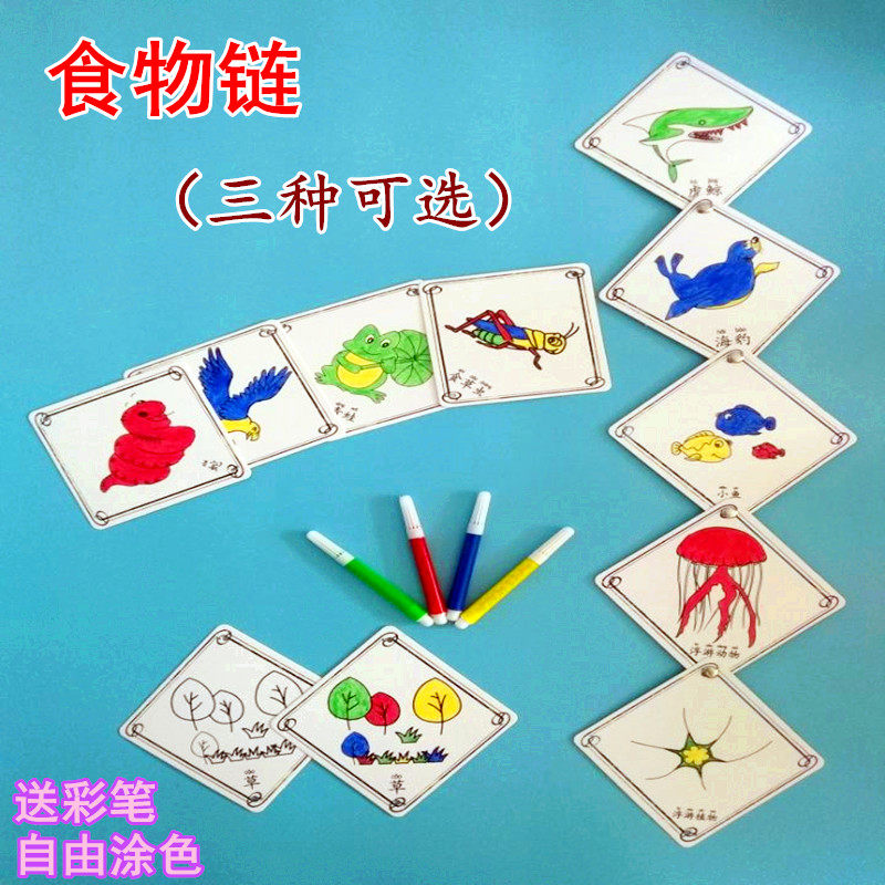 diy幼儿园玩具手工作业实验器材