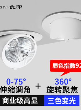 COB象鼻灯led洗墙射灯嵌入式天花灯家用专用角度服装筒灯店铺商用