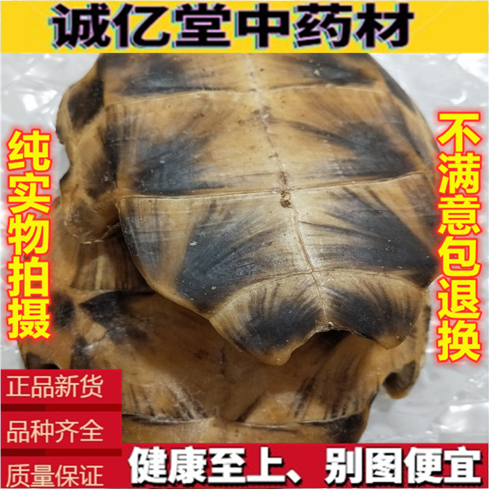 龟板中药材 生龟板 500g克包邮 干龟甲 另有炙龟板 生鳖甲 可磨粉