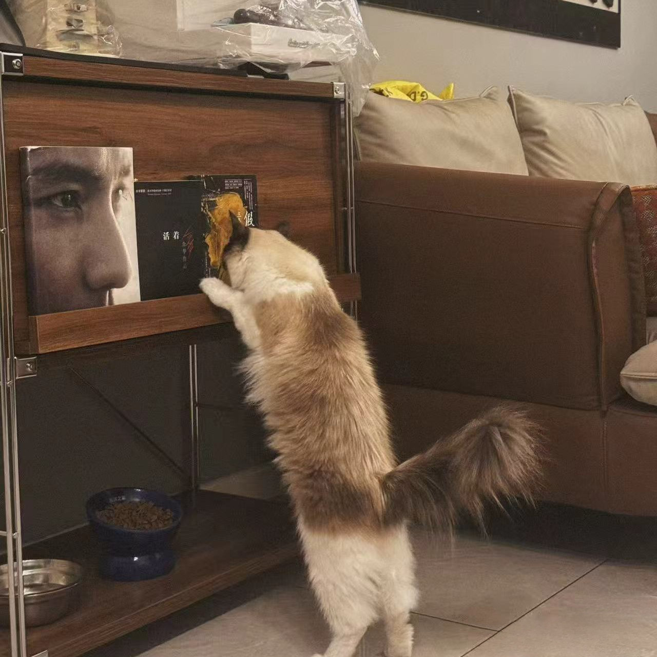 中古风柜子包豪斯收纳柜扫地机器人柜置物架客厅矮柜杂志柜陈列柜