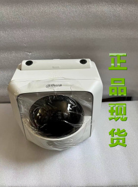 DH-SDT-4A1404-2F-WA1JY-DP-0200大华400万变焦12V网络球型摄像机
