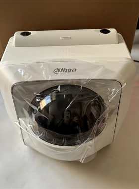 DH-SDT-4A1404-4F-QAXS-DP-0200 大华400万变焦12V网络球型摄像机