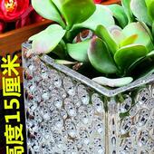 花瓶正方形插花透明台面玻璃花瓶插水培无土栽培植物桌面装 饰摆件