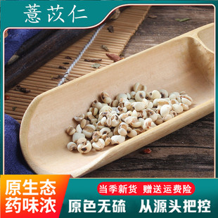 贵州薏苡仁500克g 中药材购销 米仁非炒薏苡仁 薏米 乙米 2斤包邮