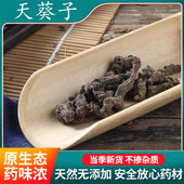 紫背 野生天葵子 天葵子 老鼠屎 中草药材购销 500g克 包邮