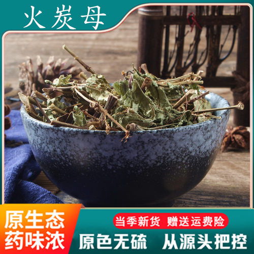 火炭母500克翅地利火炭星