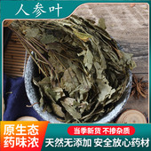 包邮 供应购销 中药材产地一站式 吉林长白山人参叶500克