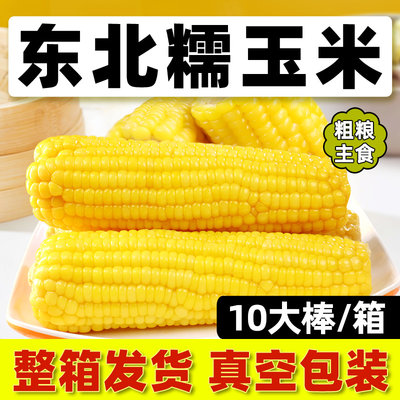 东北鲜黄糯玉米（整箱真空10棒）