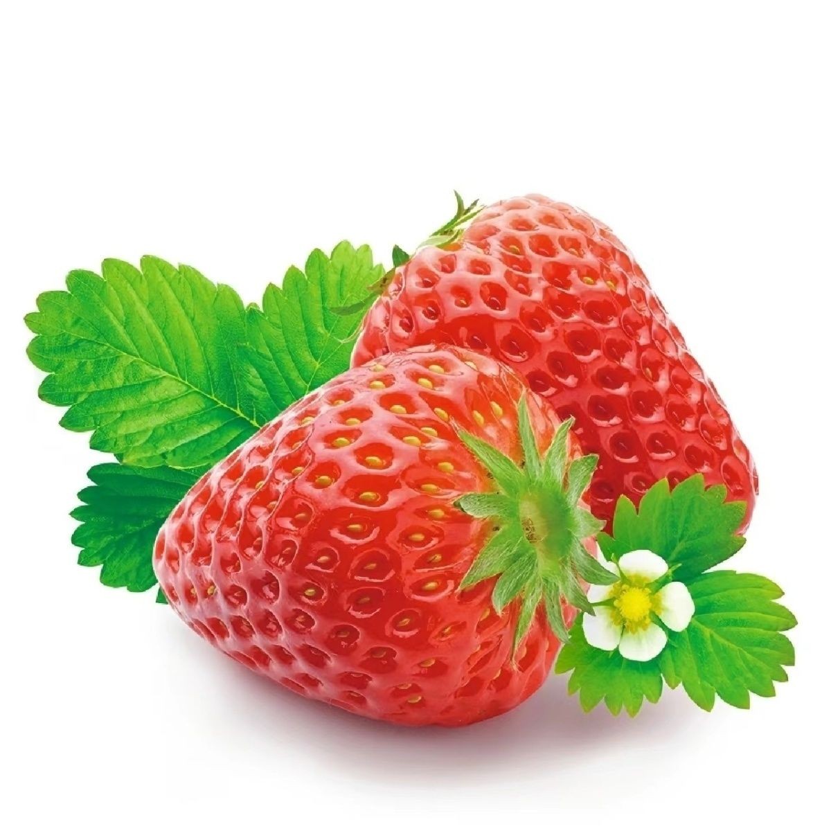云南双流四季草莓商用冰糖葫芦奶草莓