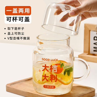 800ml大容量喝水杯玻璃杯子带盖家用耐高温女带把刻度杯男泡茶杯