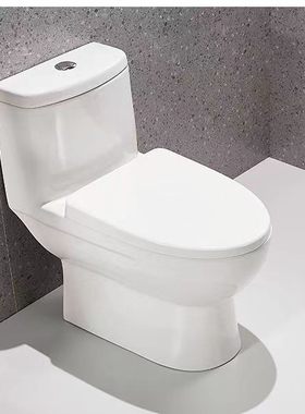 门店同款AB1116马桶单孔25/305/350/400/42/450/48/50/55坑距马桶