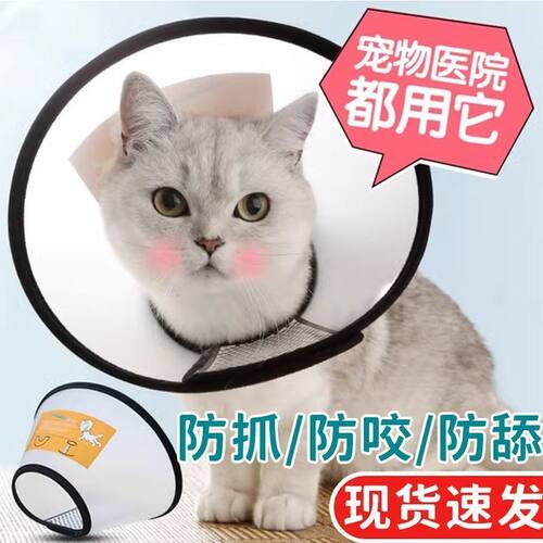 伊丽莎白圈狗狗猫咪项圈头套防舔防水耻辱圈绝育利莉沙白猫咪用品