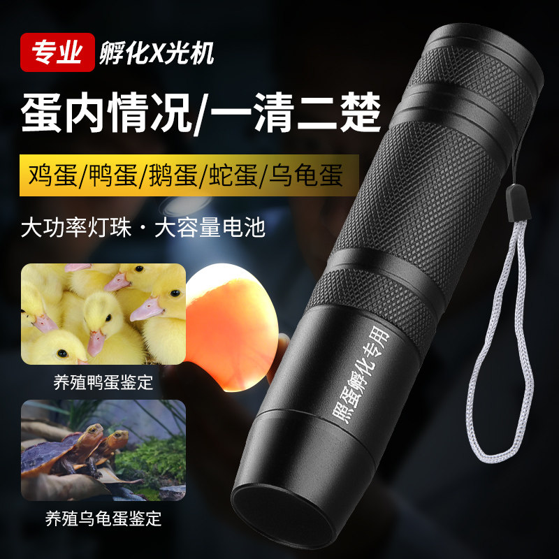 种蛋孵化照蛋手电筒冷光不伤蛋