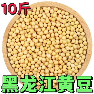 10斤东北黑龙江高蛋白优质黄豆手工精选打豆浆生豆芽产地直发