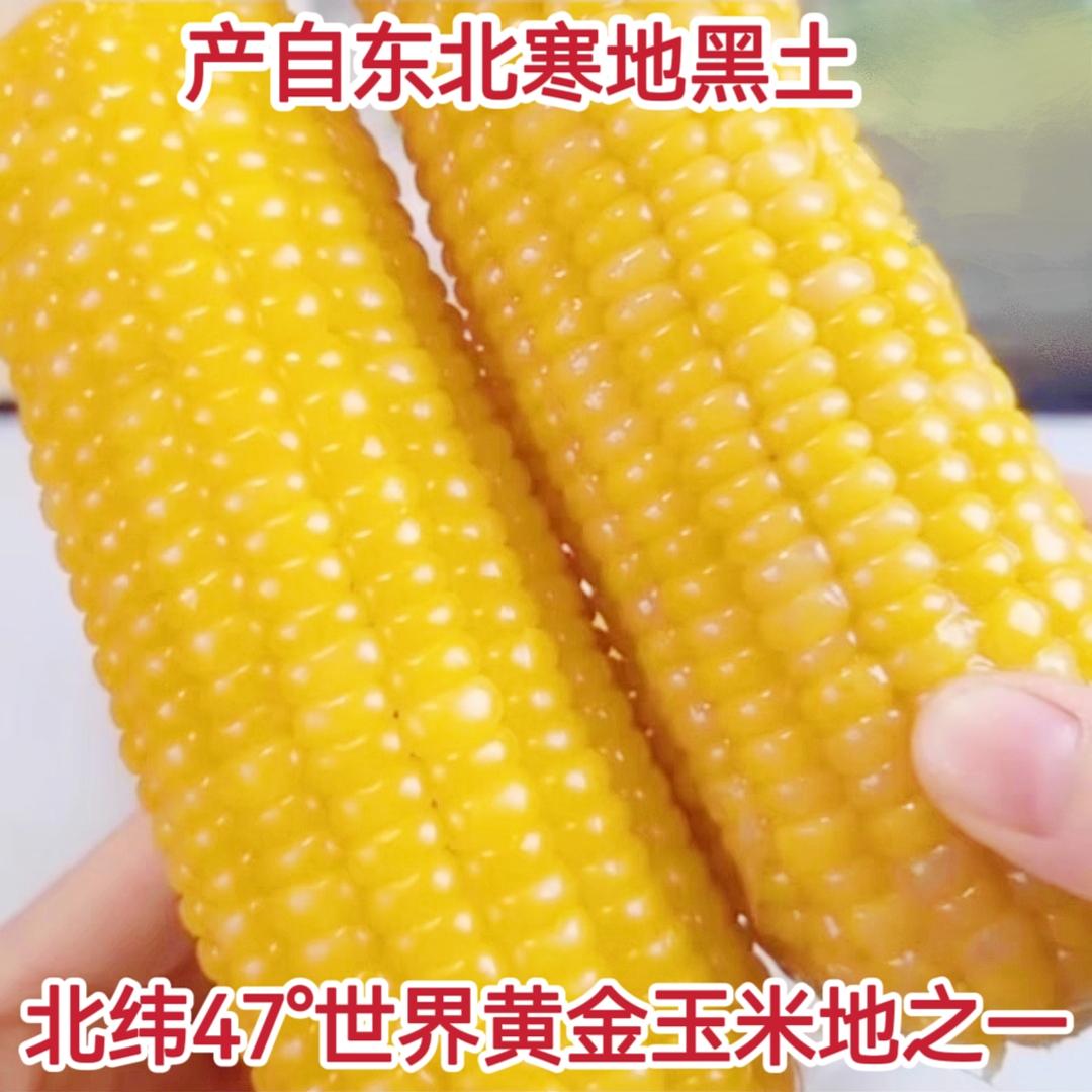4斤几戈黄糯玉米铝箔装