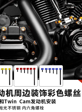 BLACK3黑三哈雷公路滑翔改装金色螺丝路威ST红色螺丝装饰PB风格DS