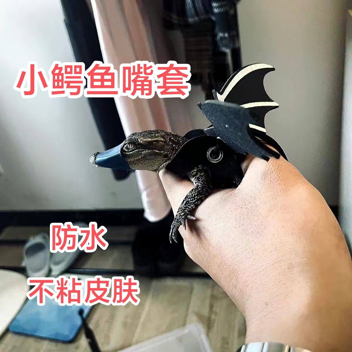 小鳄鱼嘴套防咬伤安全绳鳄鱼蜥蜴嘴捆绑套防咬防伤人嘴套束缚带,宠物/宠物食品及用品,爬宠清洁及日用品,淘宝优惠券,粉丝福利购,淘宝优惠卷