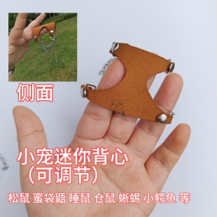 [迷你背心]松鼠胸背牵引绳背带式可调节防脱不勒分体式背心魔王